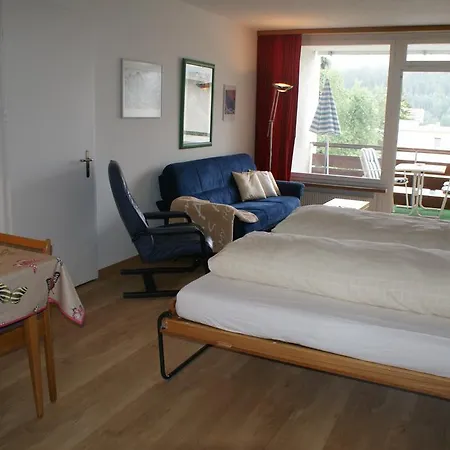 Barga & Apartment Davos