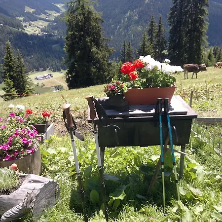 Barga & Apartment